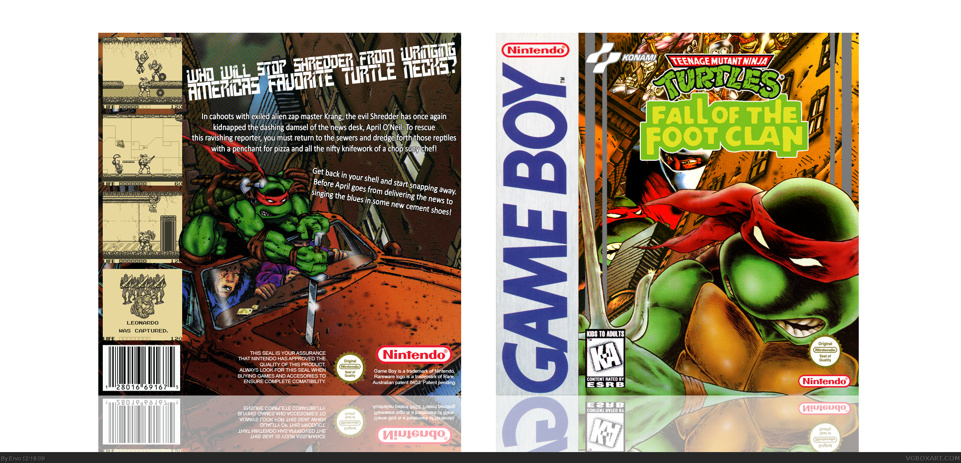 Teenage Mutant Ninja Turtles:Fall of The Foot Clan box cover