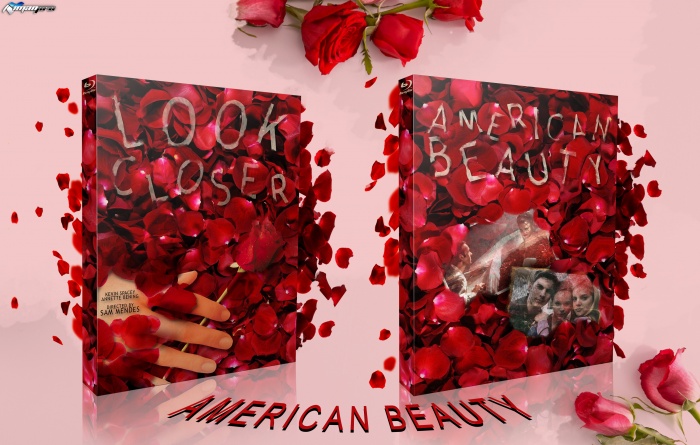 American Beauty box art cover