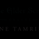 The Elder Scrolls : Online