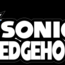 New Sonic the Hedgehog Wii